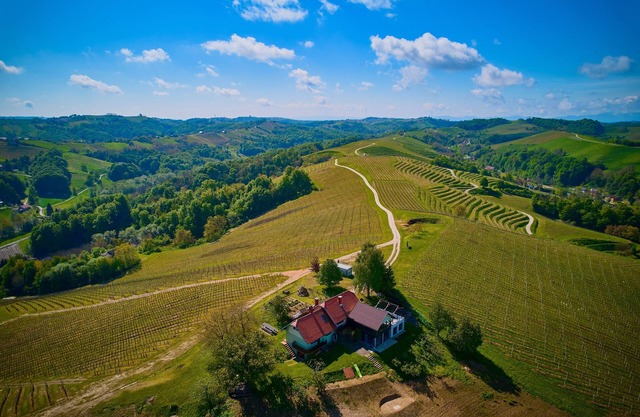 Secluded location with amazing 360° view, Holiday House Boris with wine cellar