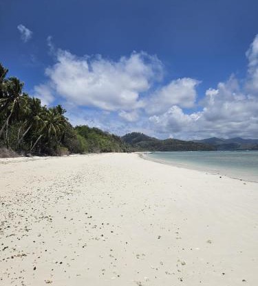 SELAYAR TURTLE BAY