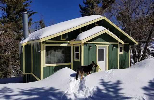 Serene Charming Cabin in Arrowbear