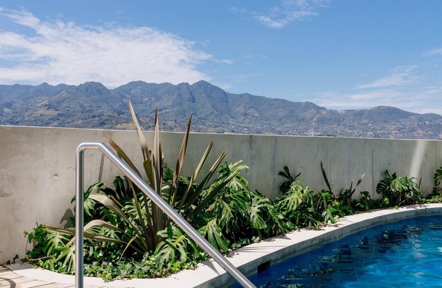 Serenity at 12, City Views and Wonderland Vibes!