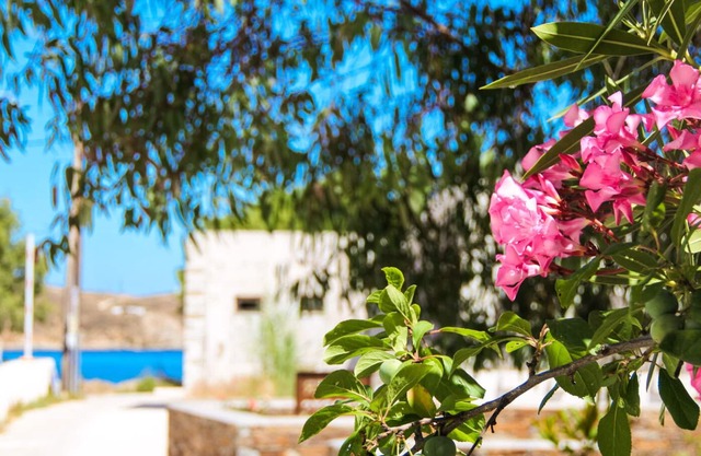 Serifos budget friendly next to the beach for 3