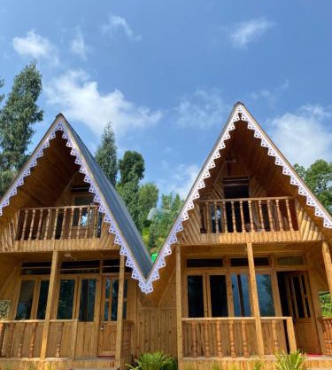Shangdhan Pine Homestay