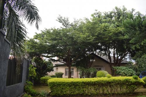 Shared Home in Kibagabaga 3 Guest Rooms 1 Ensuite and 2 with Shared Bath