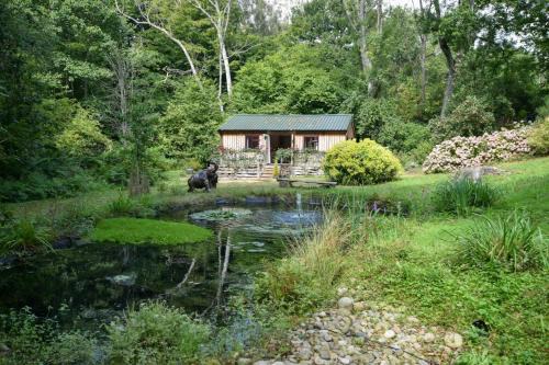 Sheila the Shed