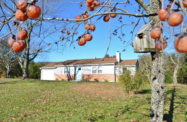 Shenandoah Cottage at Persimmon hill with Mountain Views