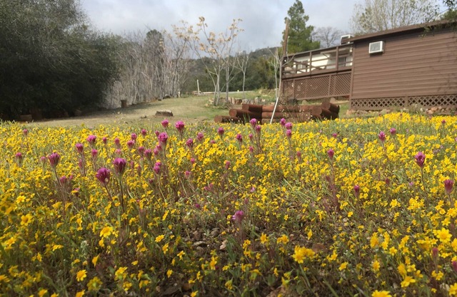 Shirley Creek Mountain Oasis: Special Discounts!