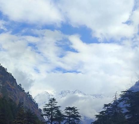 Shivay homestay kasol