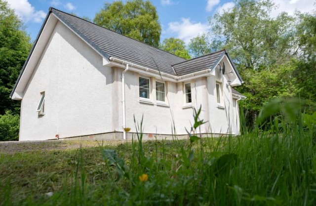 Silver Birch by Interhome