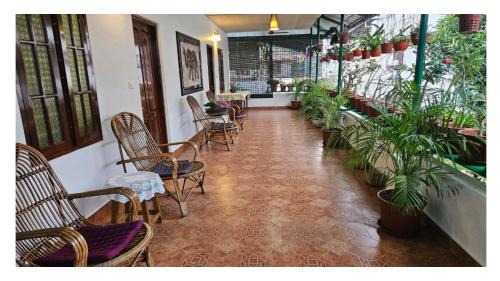 Silverweed homestay