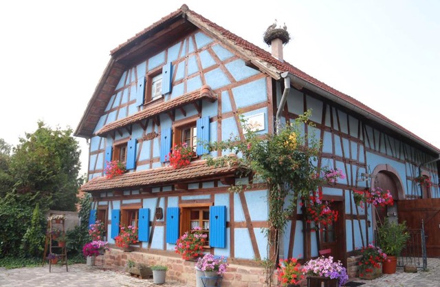 Simonshome