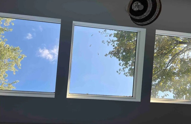 Single Bachelor unit en-suite in Waterloon