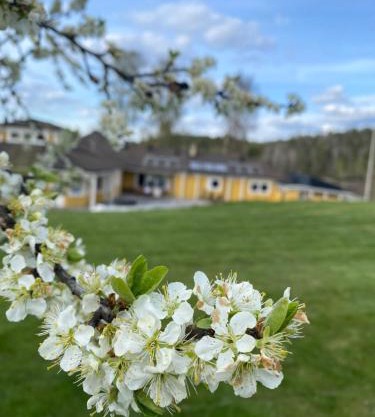 Skönero, Valdemarsvik