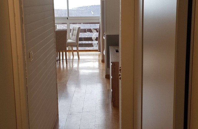 SKI APARTMENT AT THE FOOT OF THE SLOPES, MONTS D'OLMES (09)