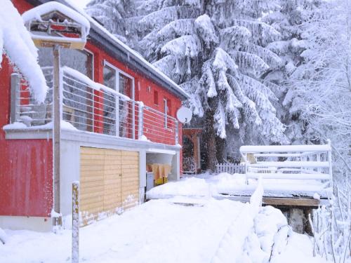 Ski & Hiking Forest Stay