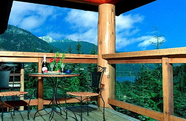 Ski in & out with Private Hot Tub, Wood Fireplace, Garage