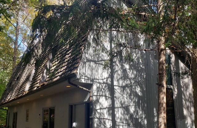 Ski Lodge Meets Tree House. Pet Friendly!