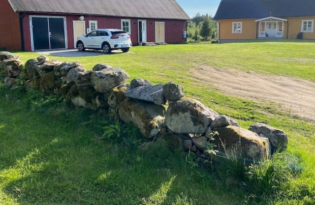 Skog Fegen