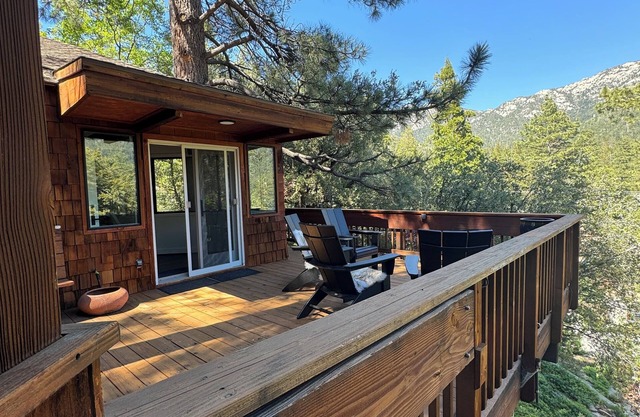 Sleek & cozy treehouse cabin w/brand new bathrooms, walk to town, A+ views!
