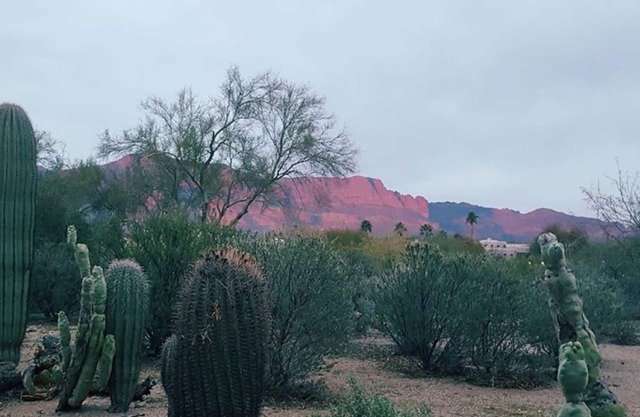 Sleepy Hollow Haven Amazing Superstition Mountain views & Jacuzzi