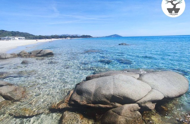 Small B&B located in the wilderness of the east coast of Sardinia.
