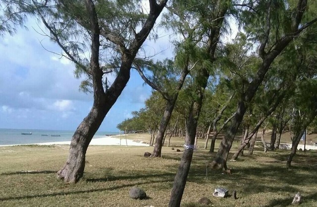 Small family house with 2 bedrooms 200 m from the beach on foot overlooking the sea