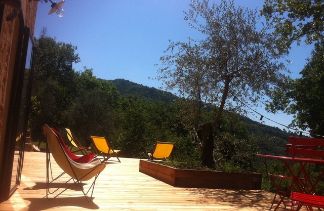 Small farmhouse in olive grove with swimming pool