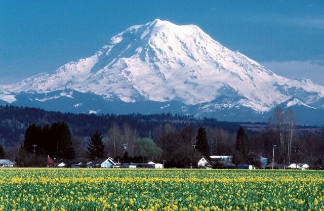 Small Town Friendliness & Family Activities; 2 blks from Western WA Fairgrounds