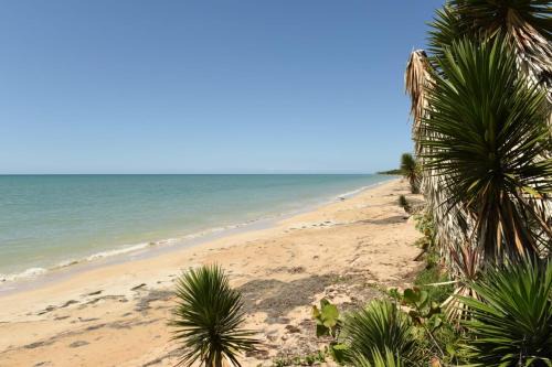 Somali Jungle Eco Lodge and Cabins
