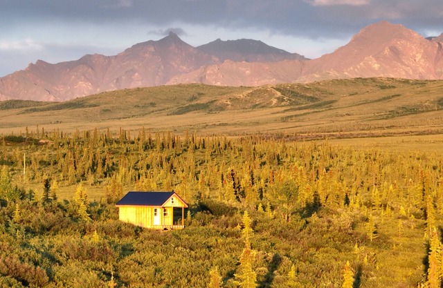 Soothing dry cabin at 8 miles out Stampede Road.