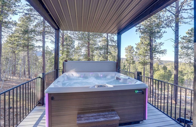 South Dakota Retreat w/Hot Tub, Fire Pit & Grill!