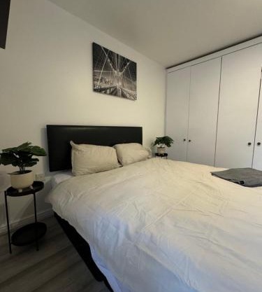 Spacious 3 bedroom Home, with private driveway 5 minutes from Excel Centre & Custom House
