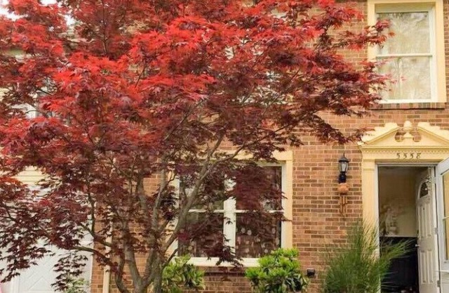 Spacious 3 Bedrooms Townhome Near GMU-VRE-D.C