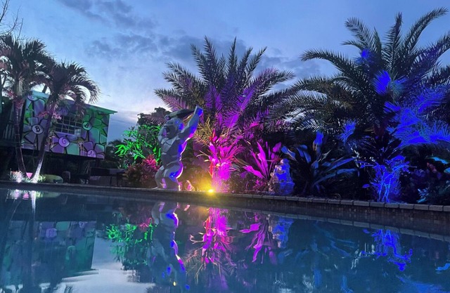 Spacious 6-bedroom house with a private night club