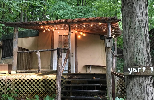 Spacious, airy yurt for glamping in comfort!