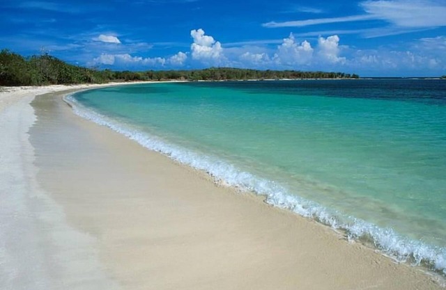 🏝️ Spacious apartment 5 min from the beach - Ideal telecommuting & relaxation 🌞