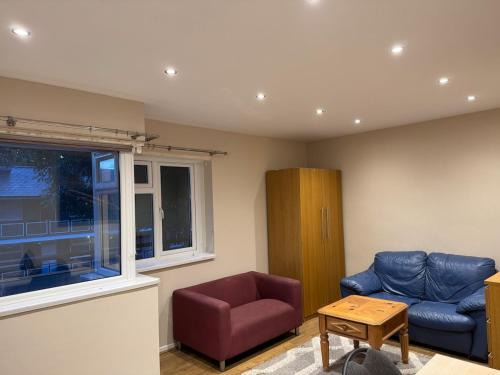 Spacious Apartment near the Oval