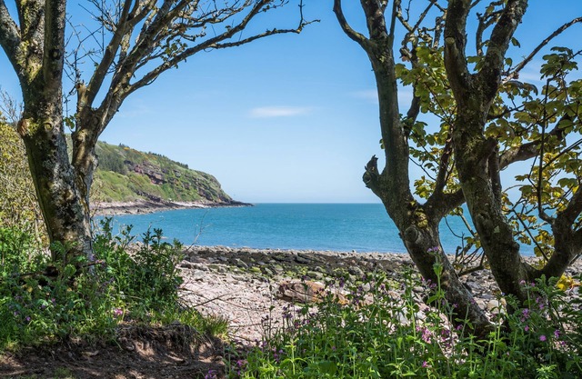 Spacious cottage on an estate where peace, privacy, fun and exploration abound