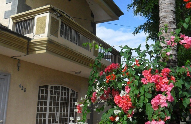 Spacious, friendly ground-floor apartment 300m from the beach