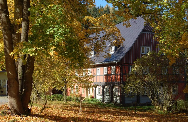 Spacious historical house for 12 guests