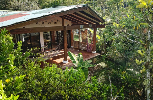 Spacious house on a family run animal and horse farm