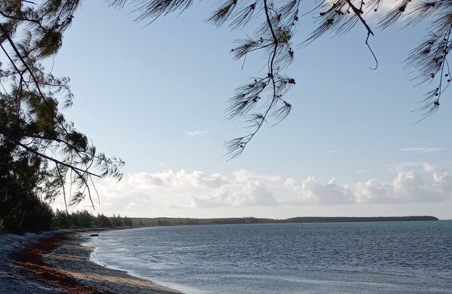 Spacious Island House on the beach - 5 mins from the airport