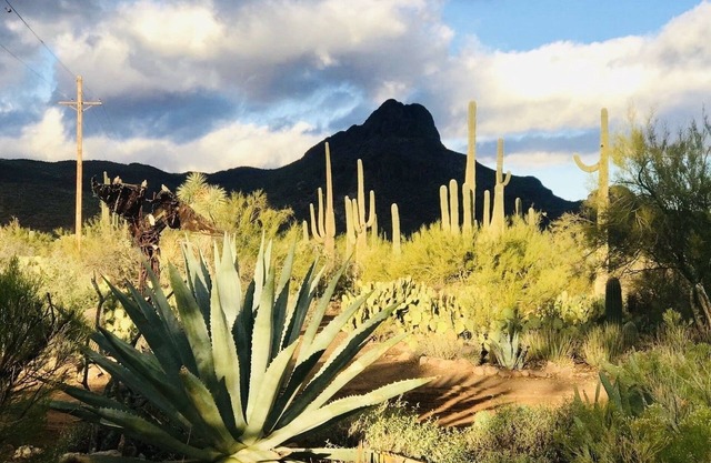 Spectacular Viĺla,private resort, trails,horses,pool.Unique Desert Adventure!
