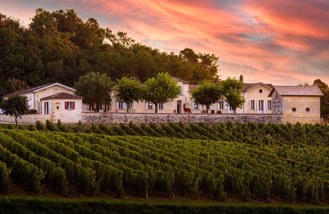Splendid chartreuse in the heart of its vineyards