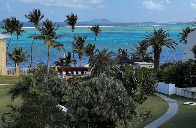 ST CROIX DAYDREAM - 2 bd/2 bth seaside condo with pool and onsite beach