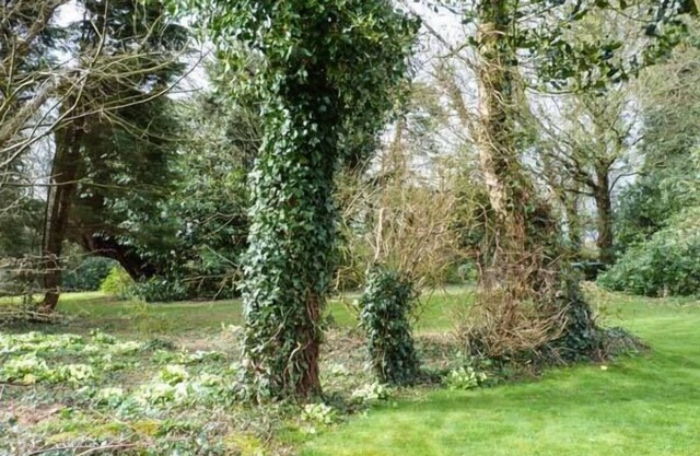Standard Hill Cottage