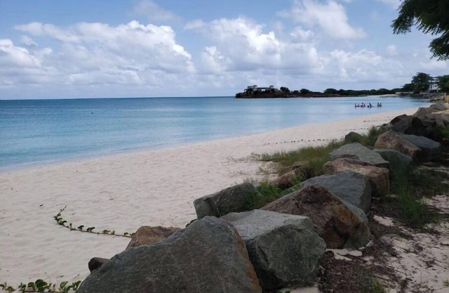 Start your adventure with us on Runway's White Sandy Beach.