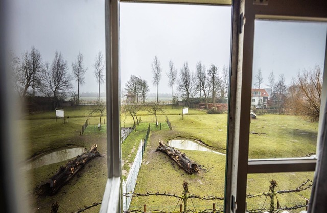 Stay at Oranjezon Dunes