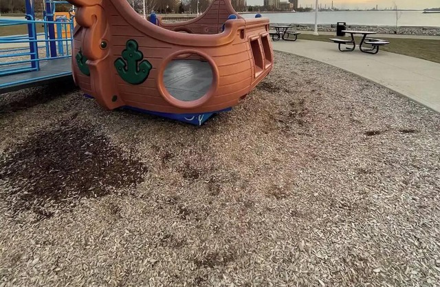 Steps to River w/ parking, wifi, bbq & backyard