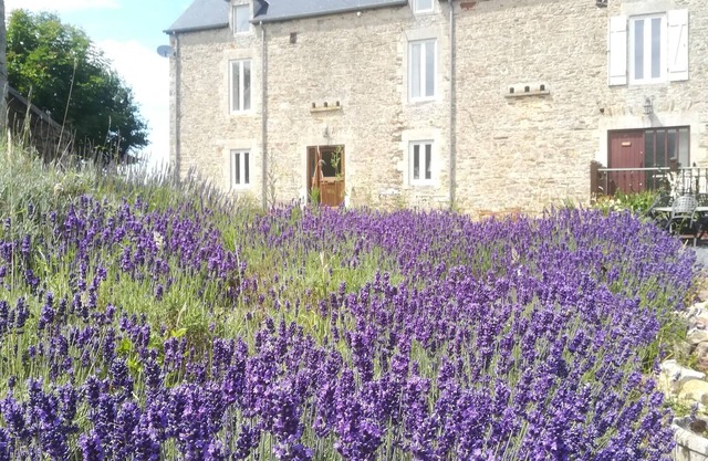 Stone cottage with garden