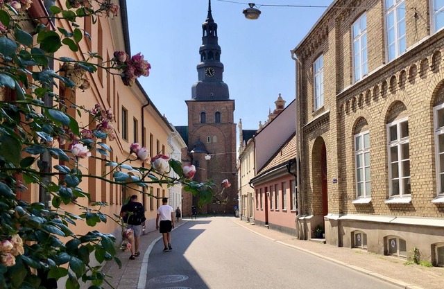 Street house in Ystad's city centre